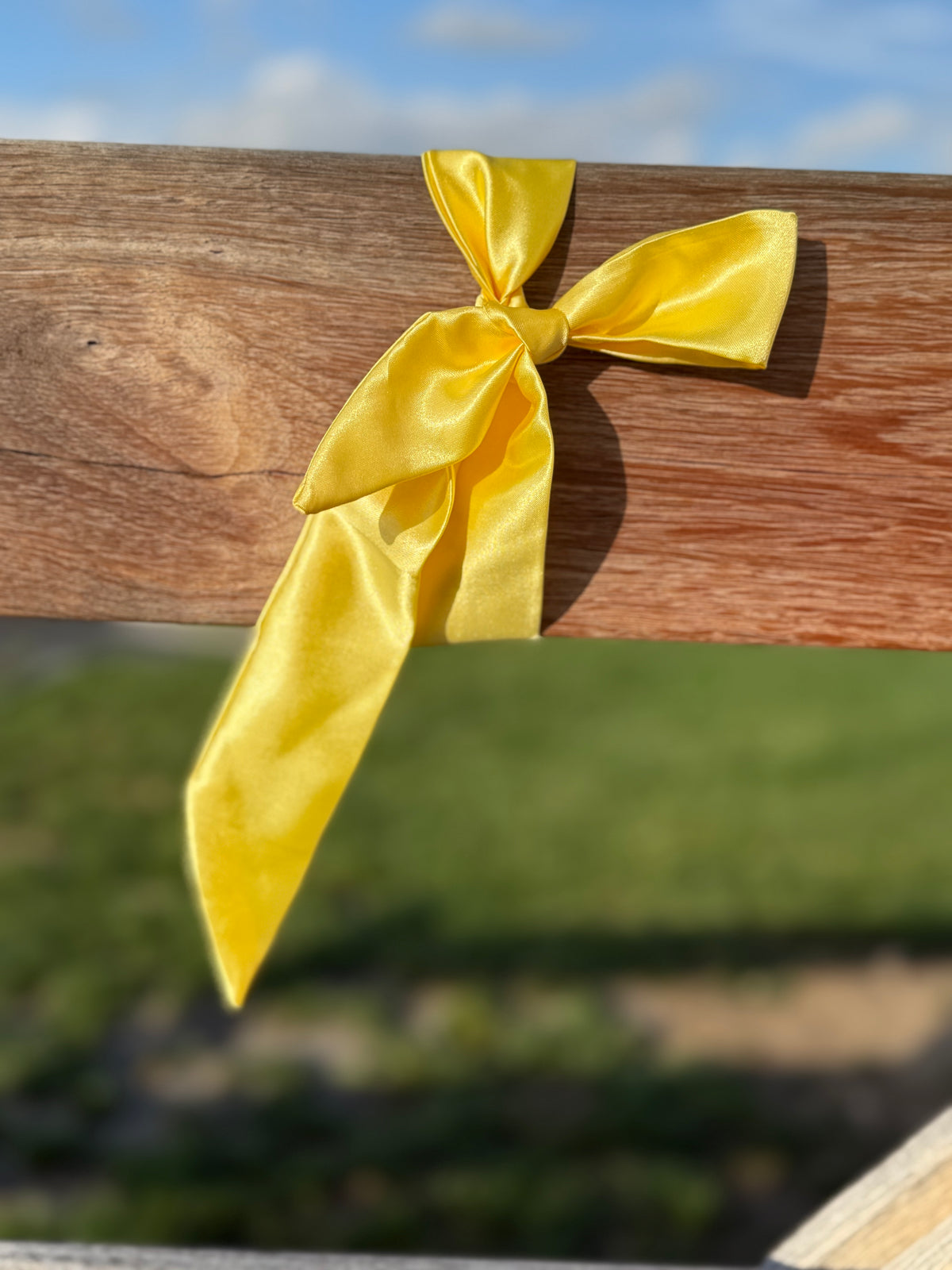 Neck Tie - Lemon Drop