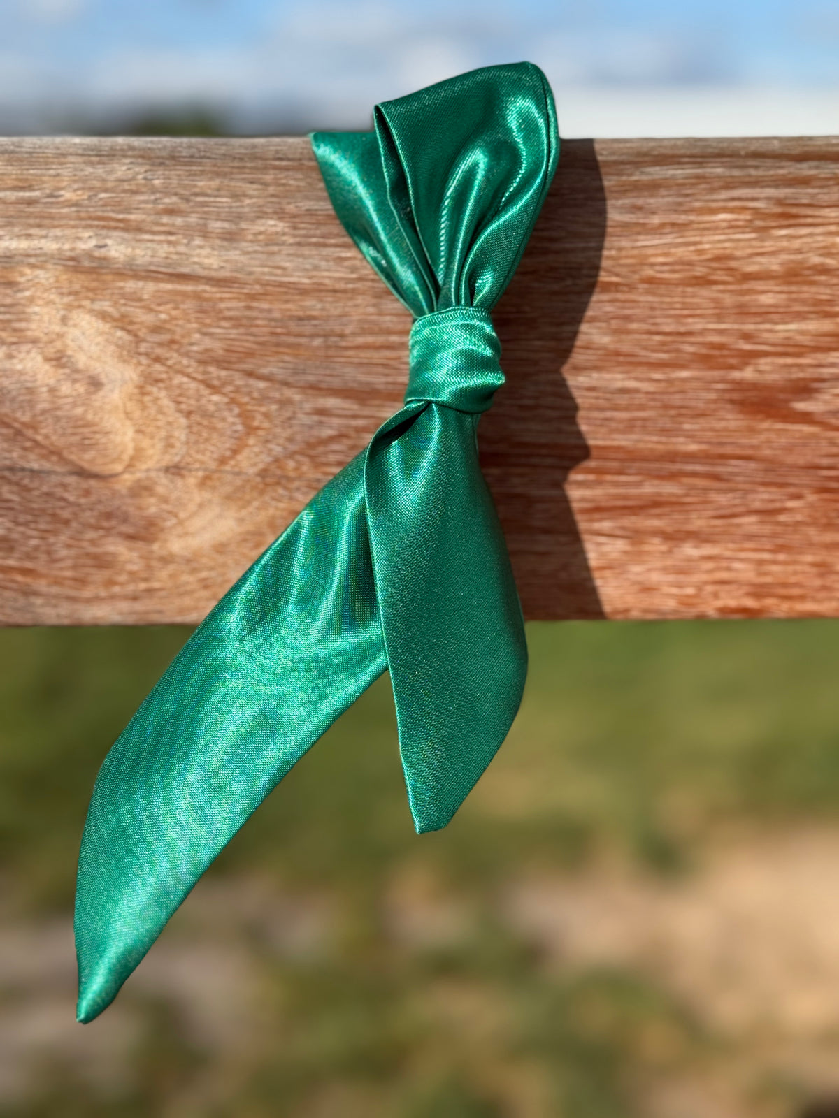 Neck Tie - Green Envy