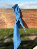 Neck Tie - Bluebell Breeze