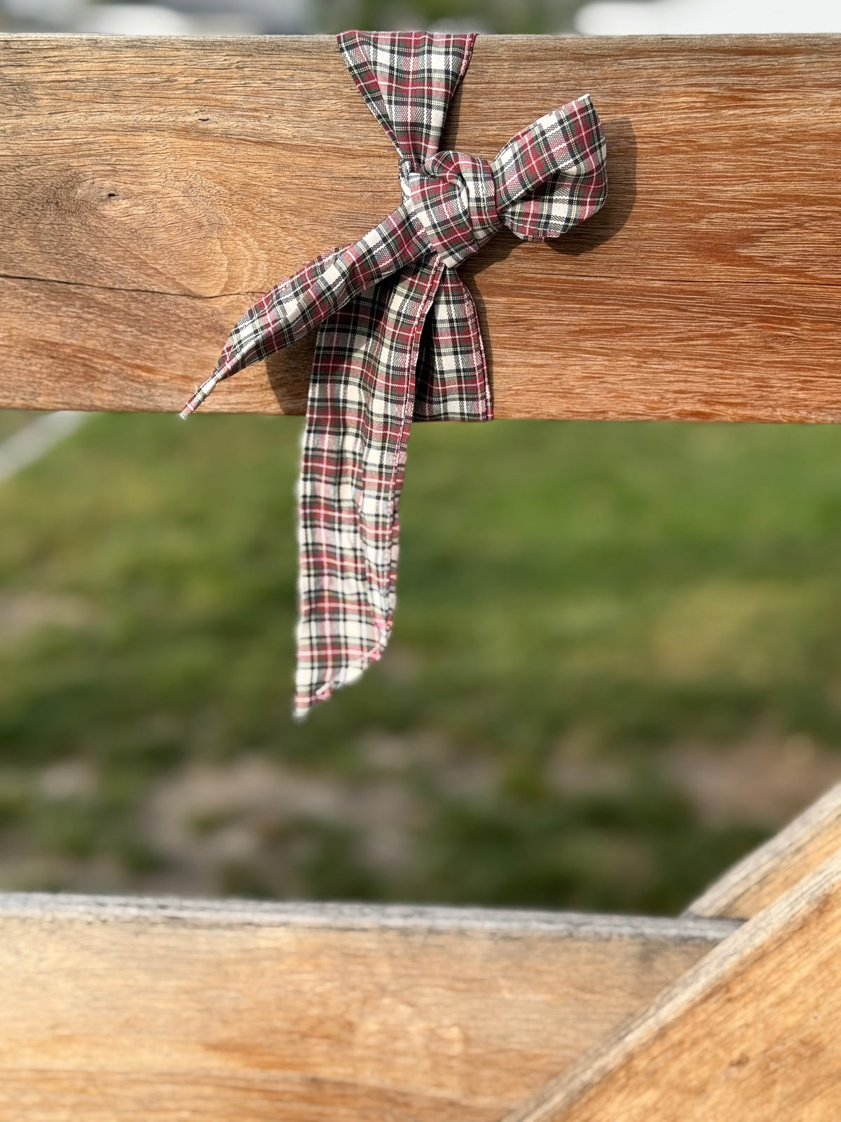 Neck Tie - Bushland Check