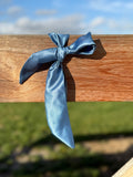 Neck Tie - Blue Moon