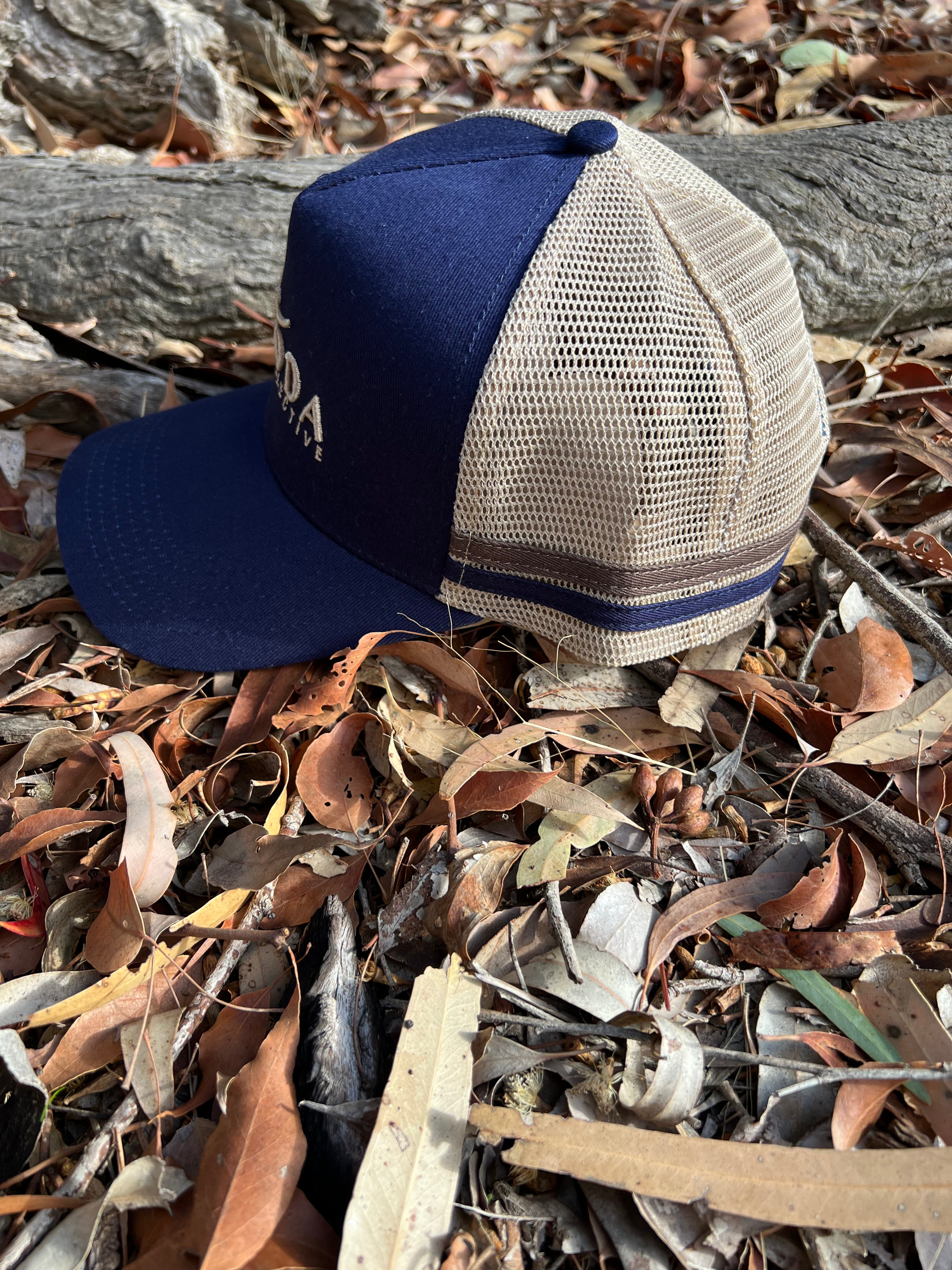 Cap - Navy & Brown